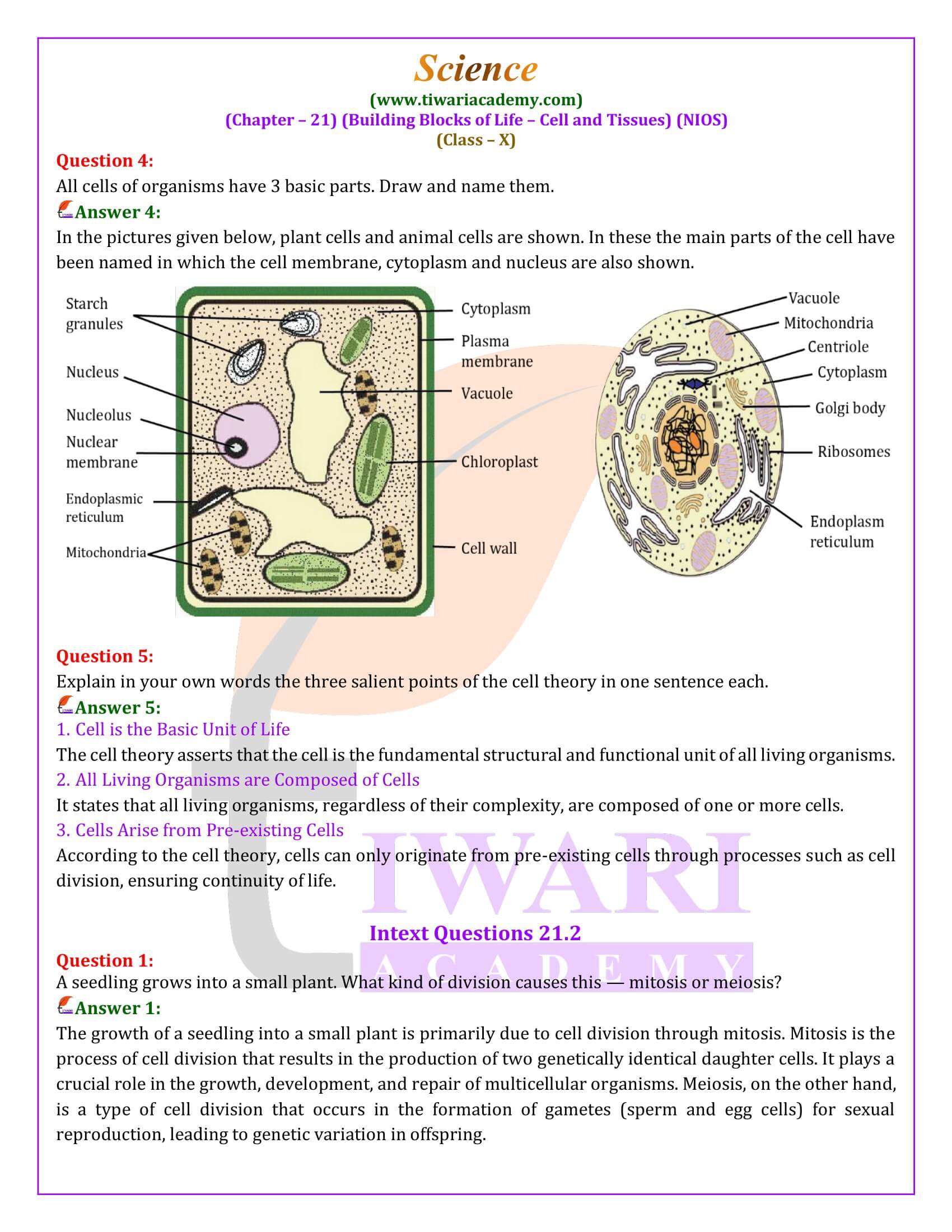 NIOS Class 10 Science Chapter 21 Cell and Tissue