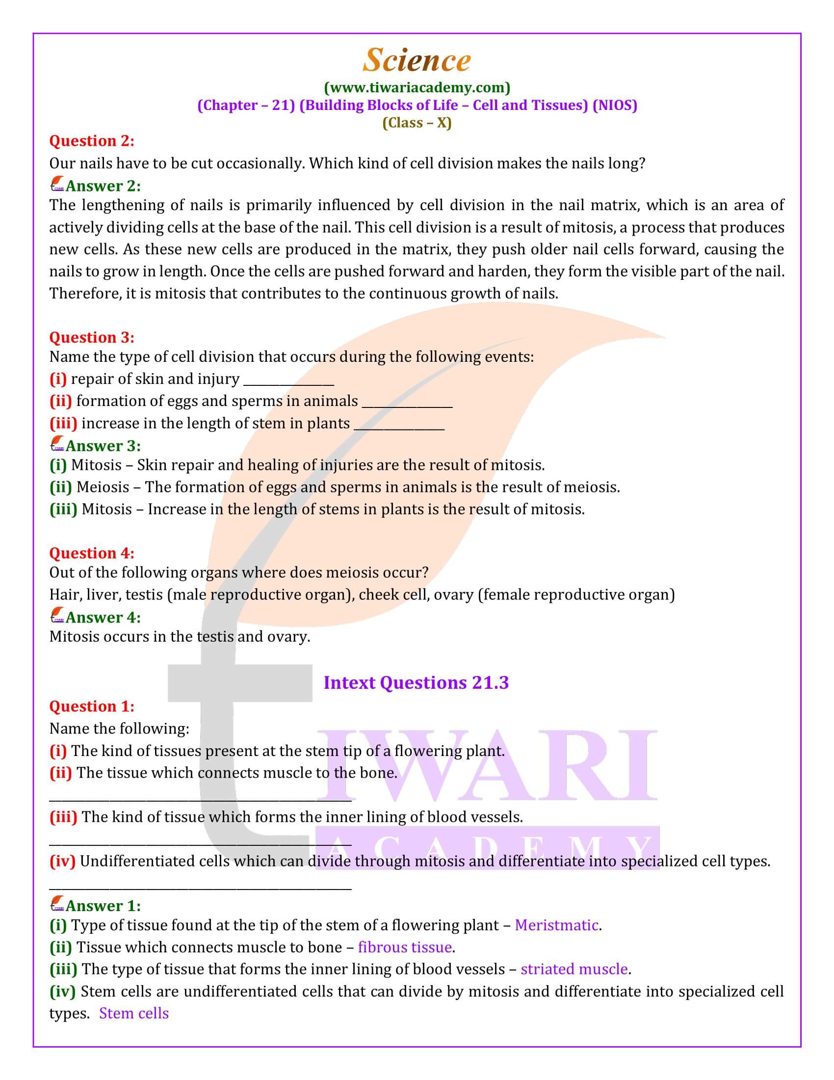 NIOS Class 10 Science Chapter 21 Answers