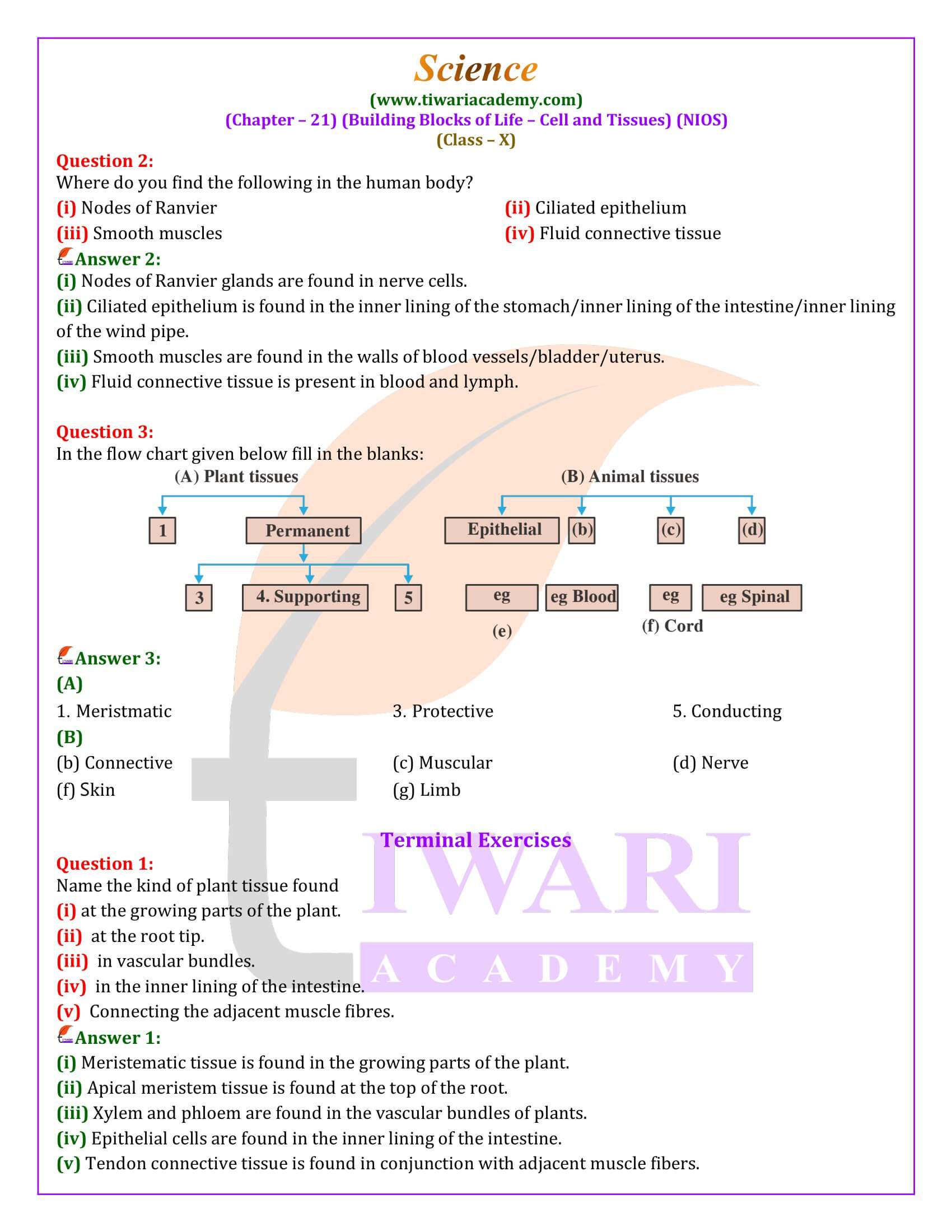 NIOS Class 10 Science Chapter 21 Solutions