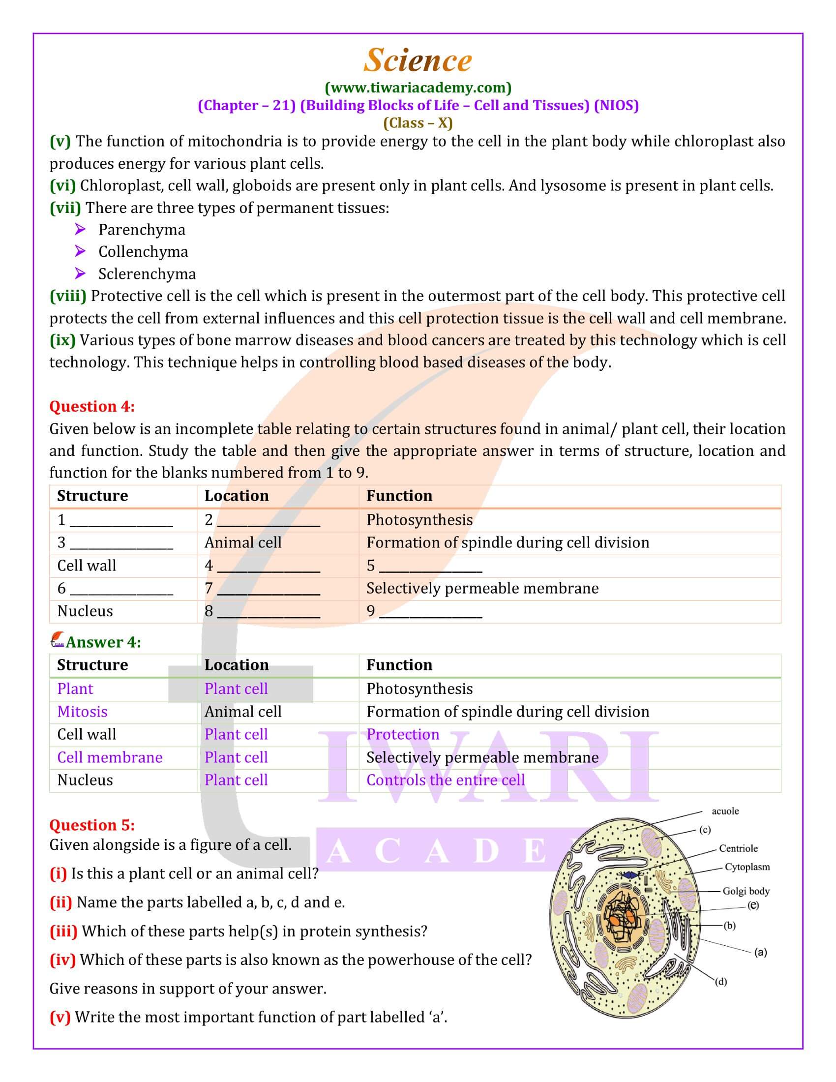 NIOS Class 10 Science Chapter 21 Exercises Solutions