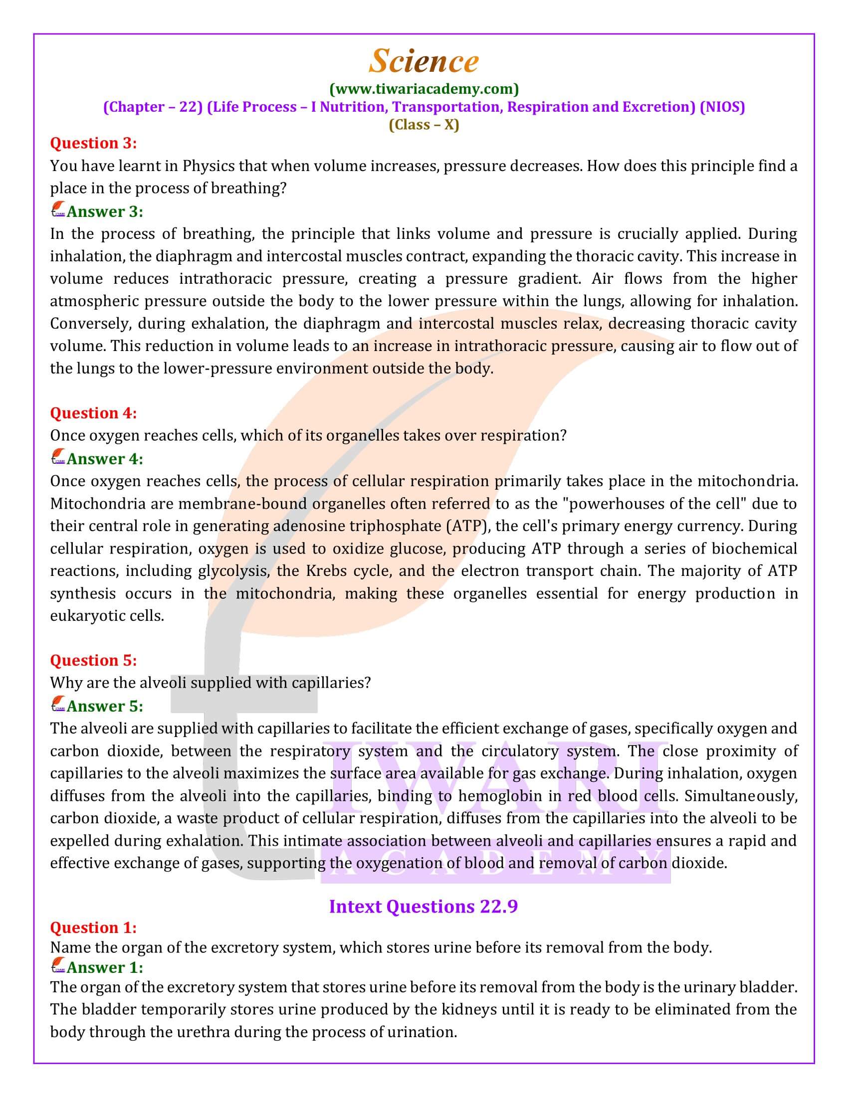 NIOS Class 10 Science Chapter 22 Exercises Answers