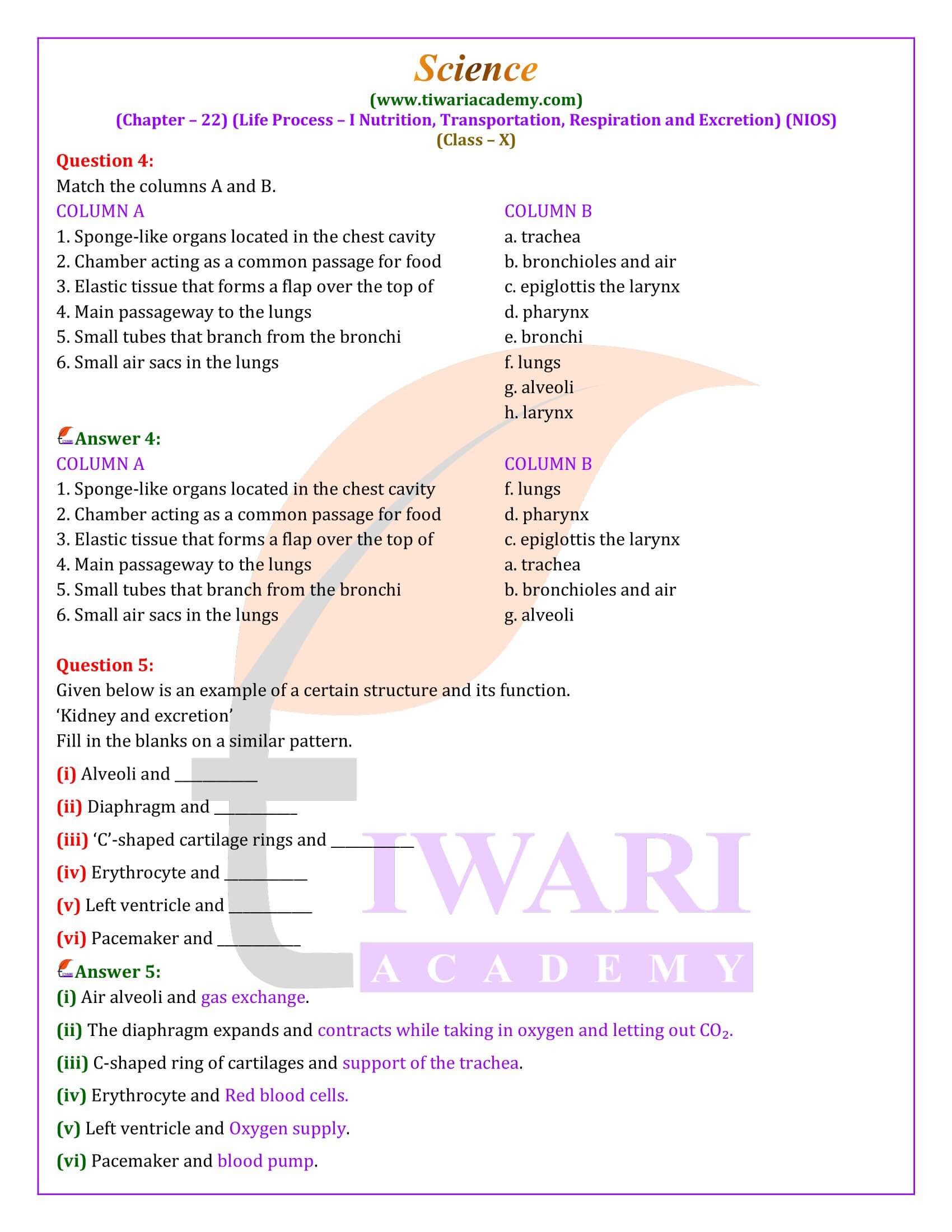 NIOS Class 10 Science Chapter 22 answers in Hindi and English Medium