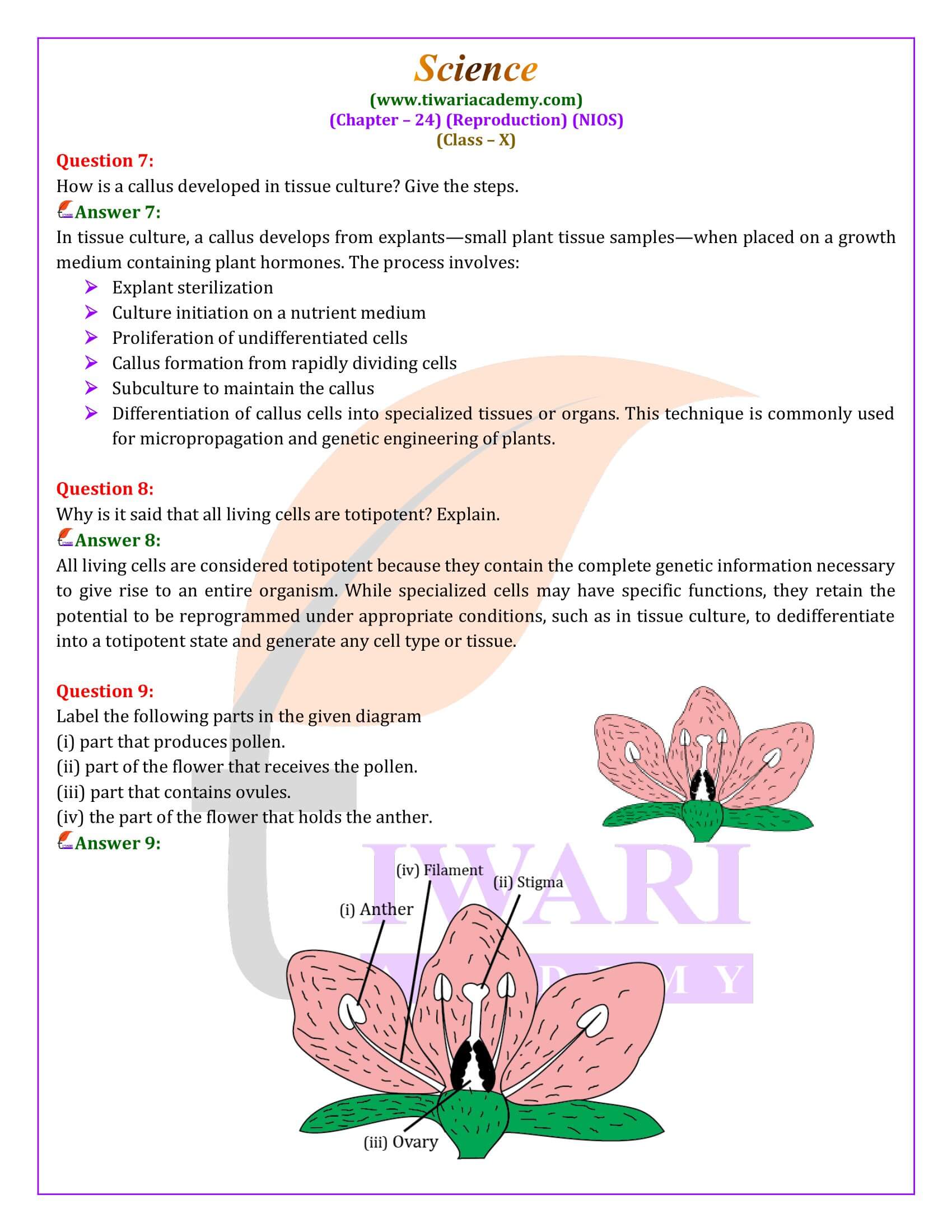 NIOS Class 10 Science Chapter 24 all Answers in English