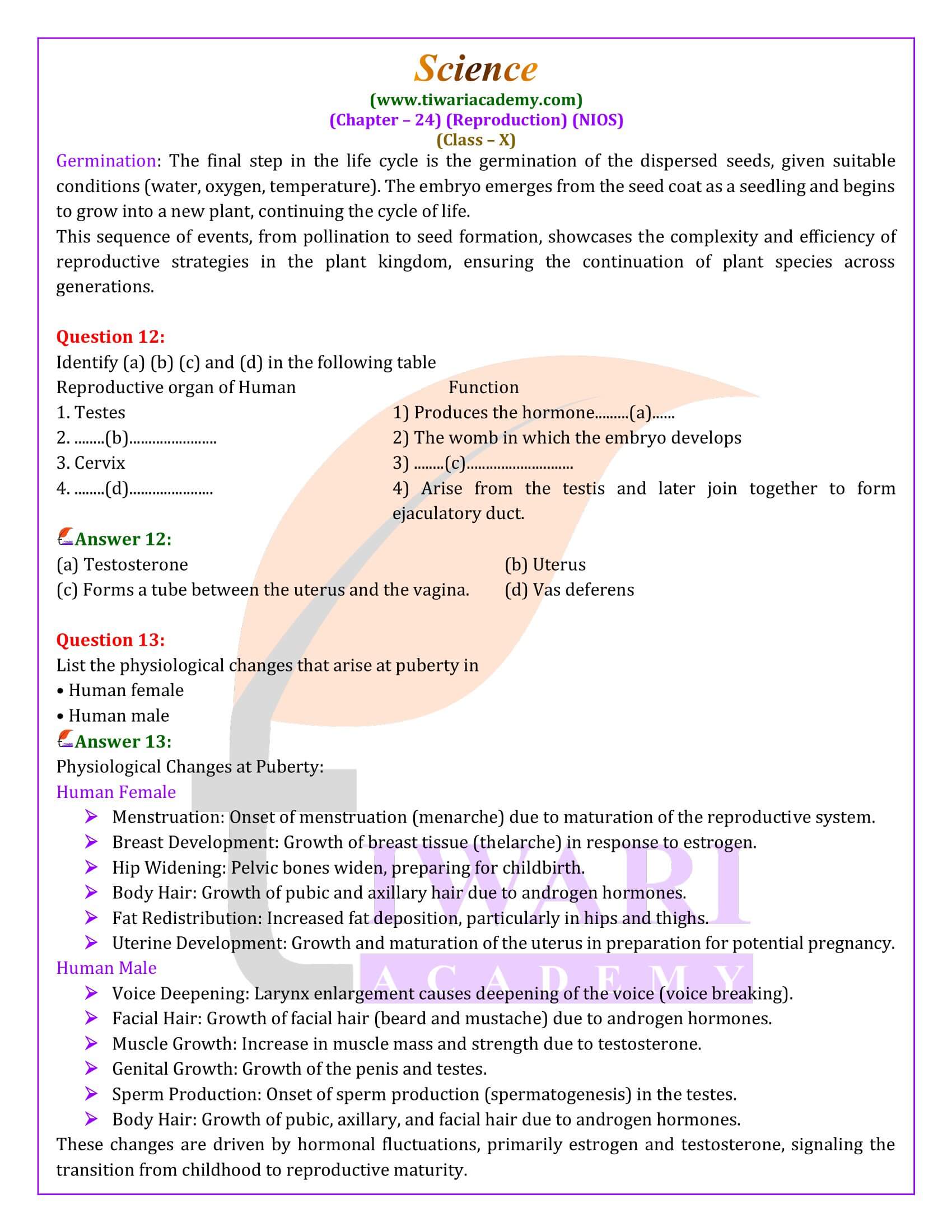 NIOS Class 10 Science Chapter 24 Answers guide