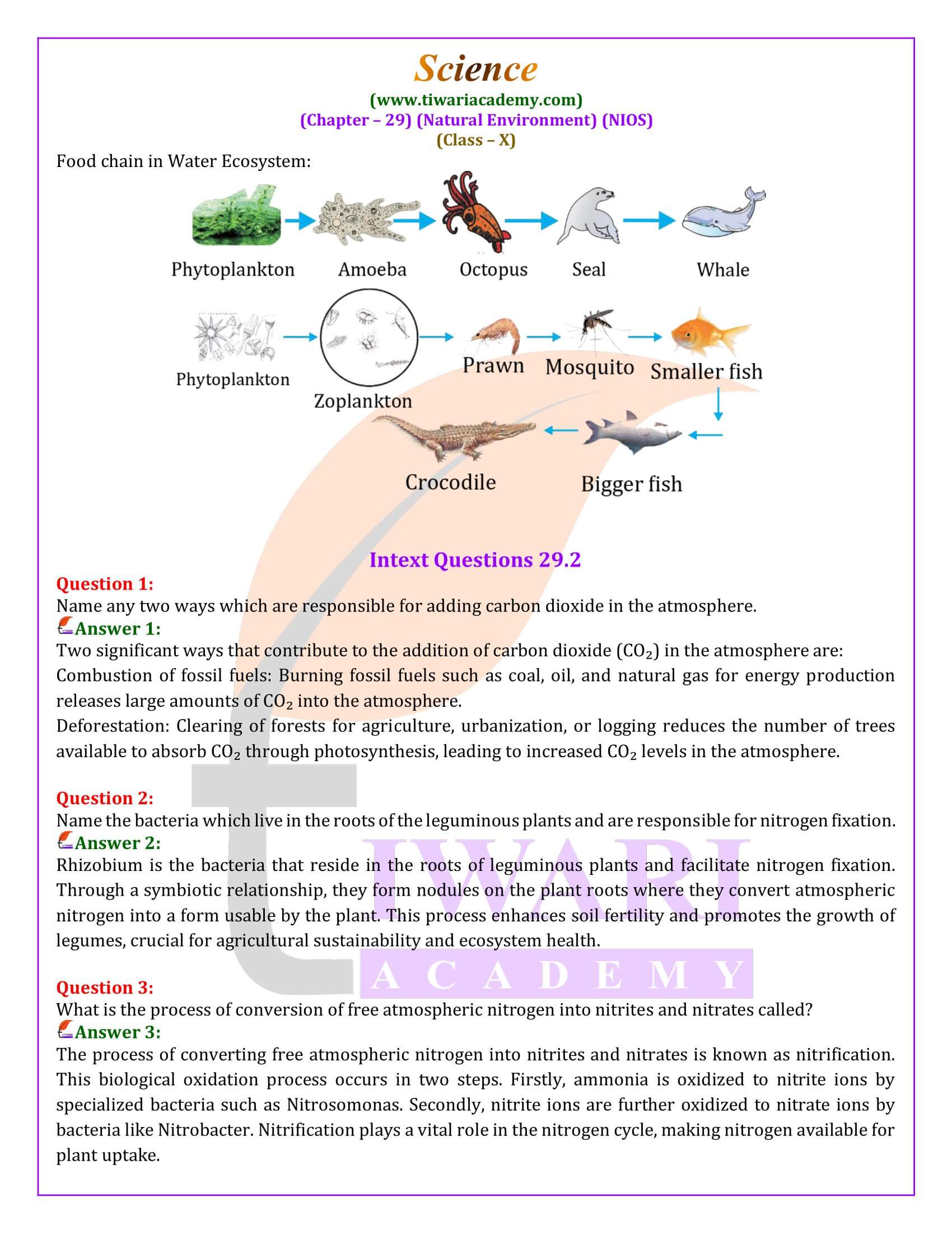 NIOS Class 10 Science Chapter 29 Natural Environment Solutions