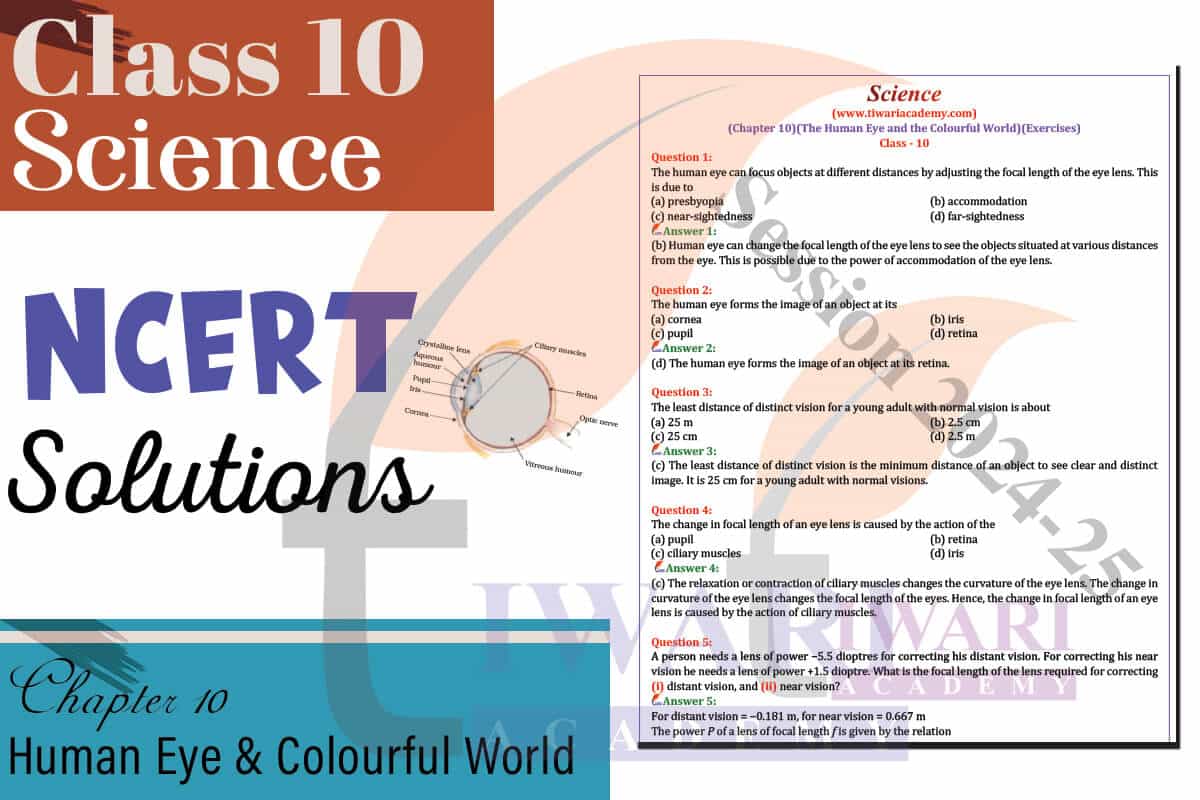 Class 10 Science Chapter 10 Topics