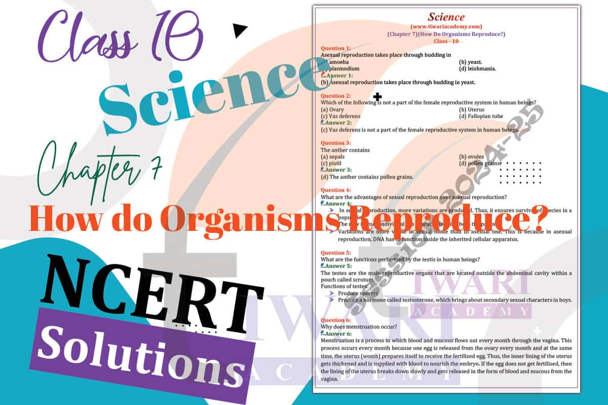 Class 10 Science Chapter 7 Topics