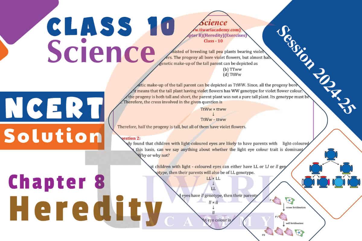 Class 10 Science Chapter 8 Topics