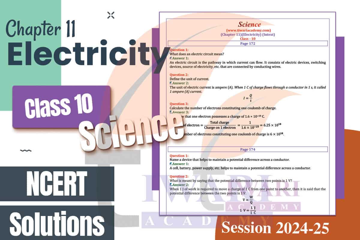 Class 10 Science Chapter 11 Solutions