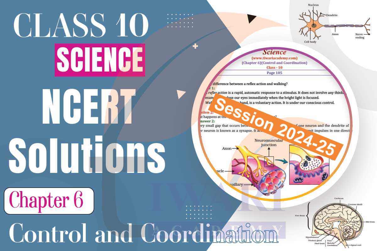 Class 10 Science Chapter 6 Solutions