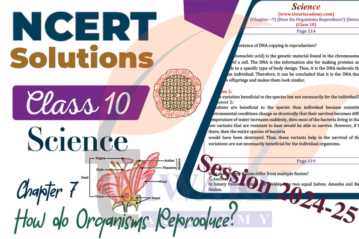 Class 10 Science Chapter 7 Solutions