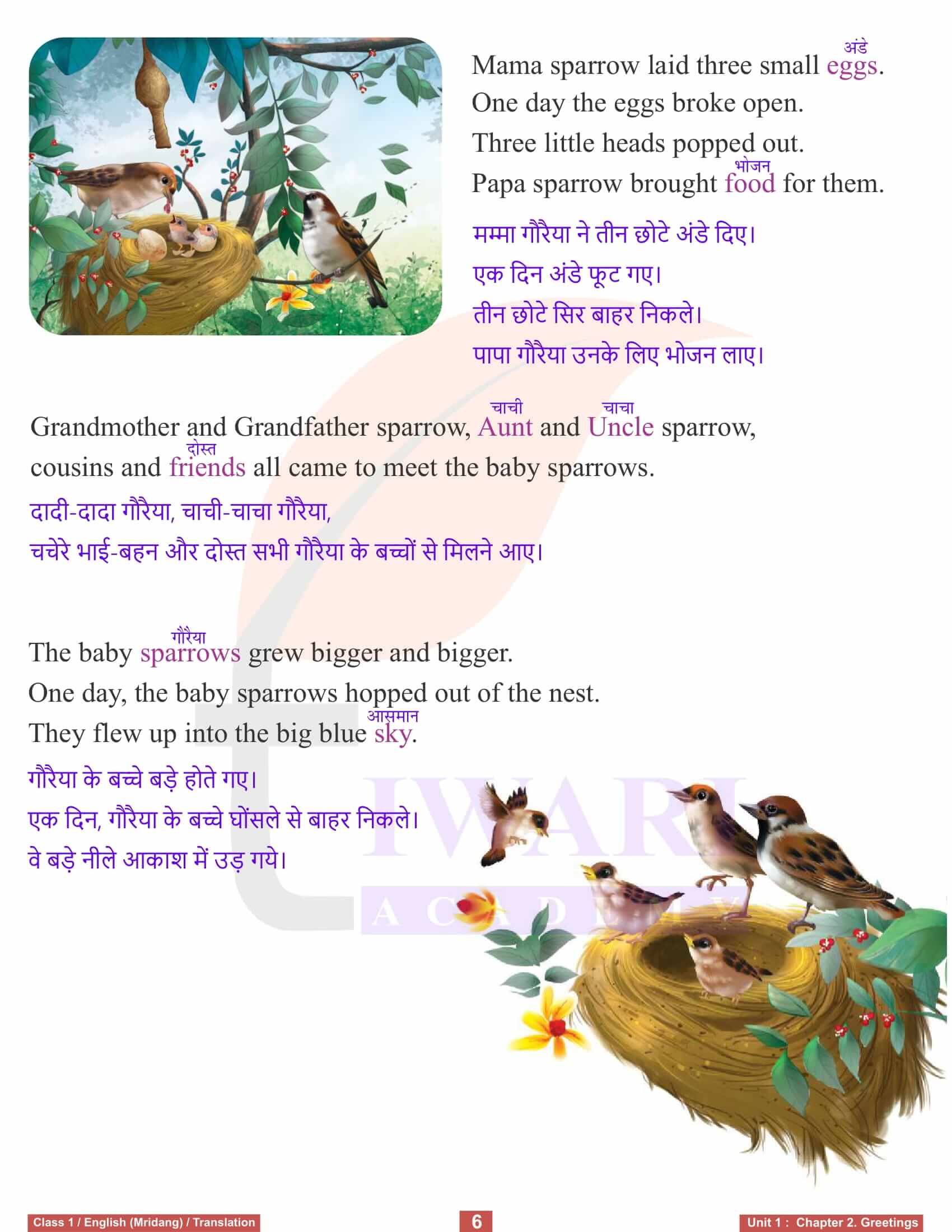 NCERT Solutions for Class 1 English Mridang Chapter 2 Translation in Hindi