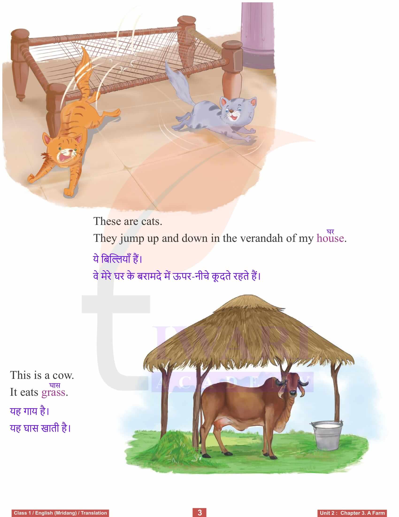 NCERT Solutions for Class 1 English Mridang Unit 2 Life Around Us Chapter 3 Hindi Translation