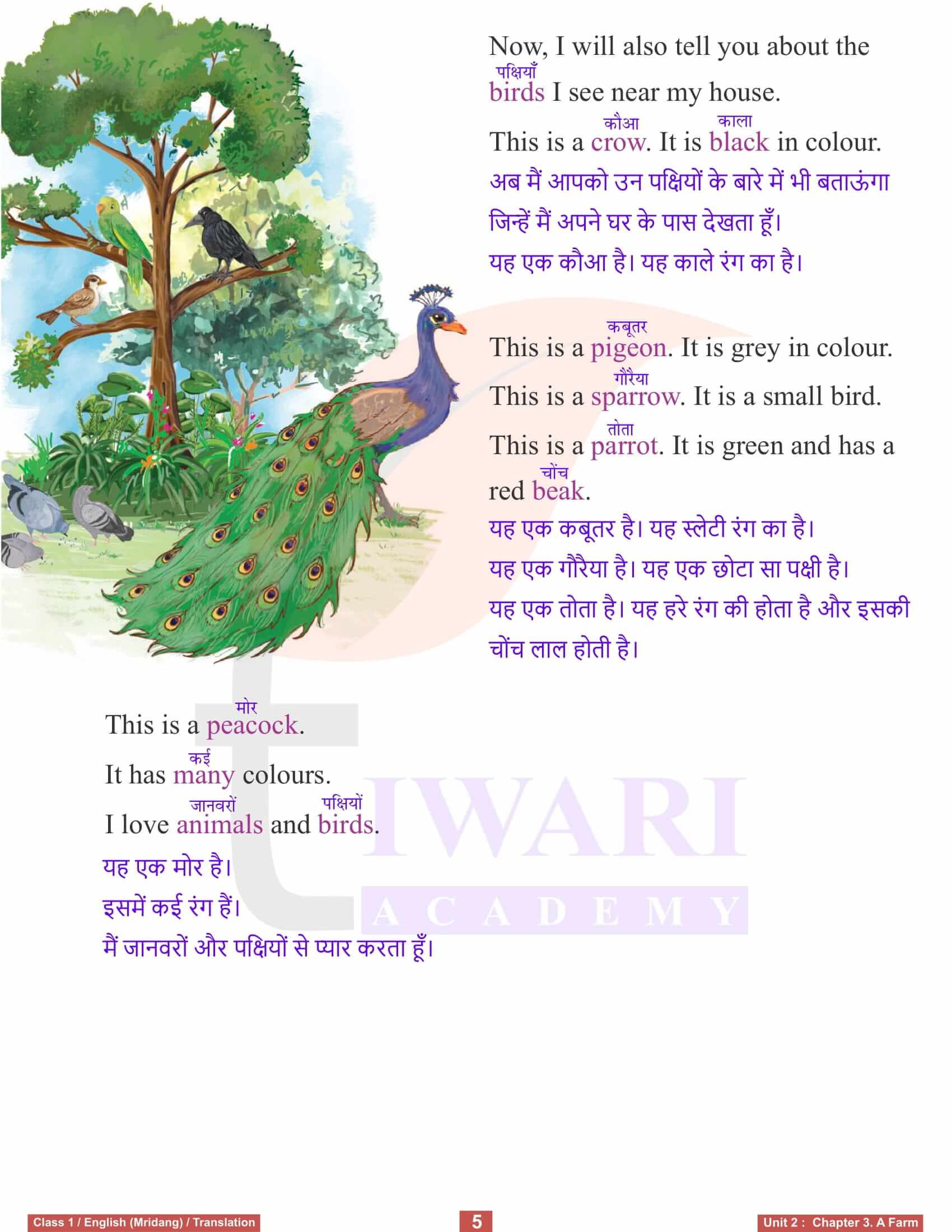 NCERT Solutions for Class 1 English Mridang Unit 2 Chapter 3 English to Hindi Tarnslation