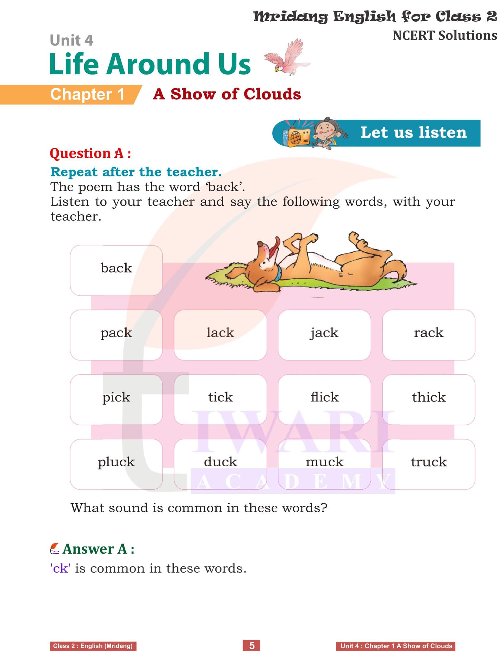 Class 2 English Mridang Unit 4 Life Around Us Chapter 1 Question answers