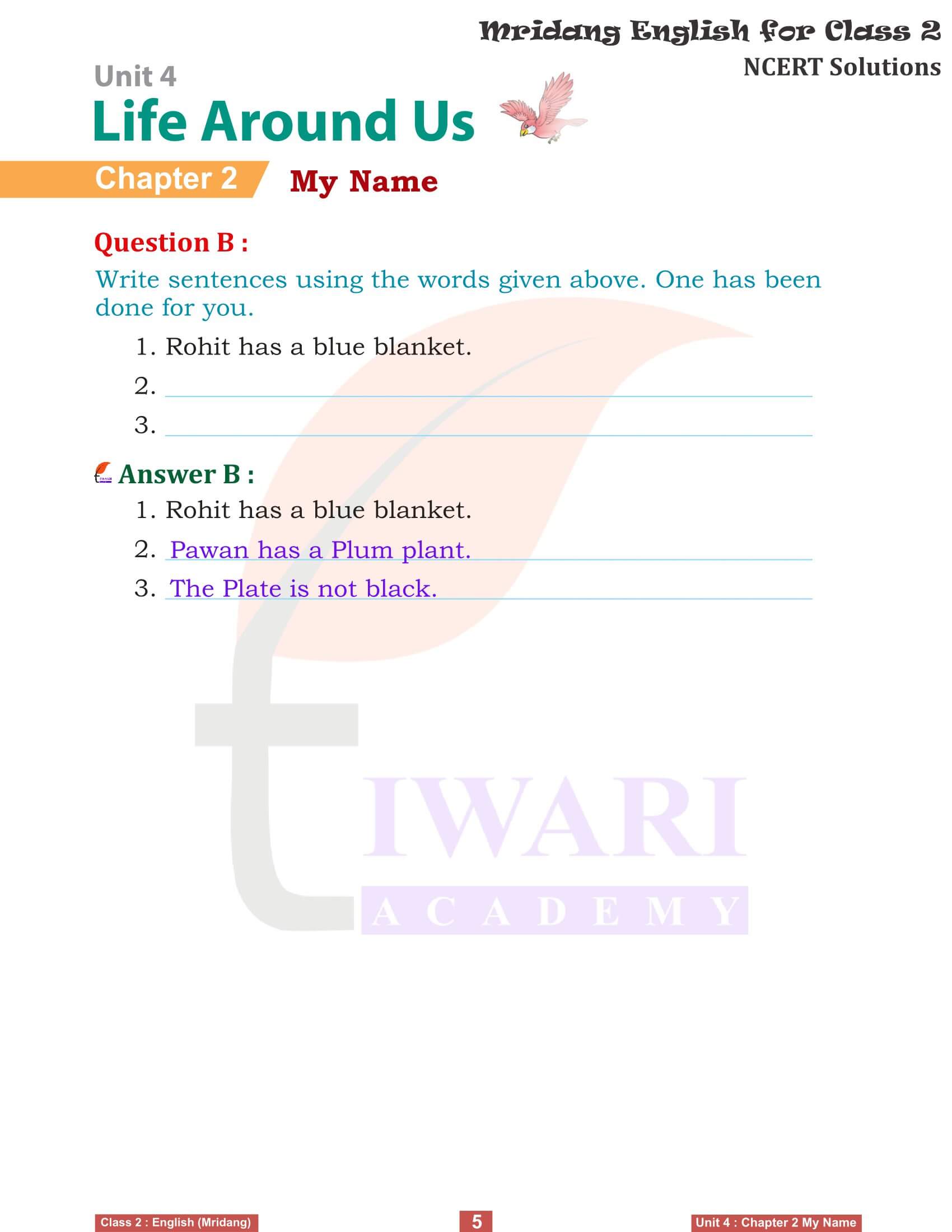 Class 2 English Mridang Unit 4 Life Around Us Chapter 2 Question Answers