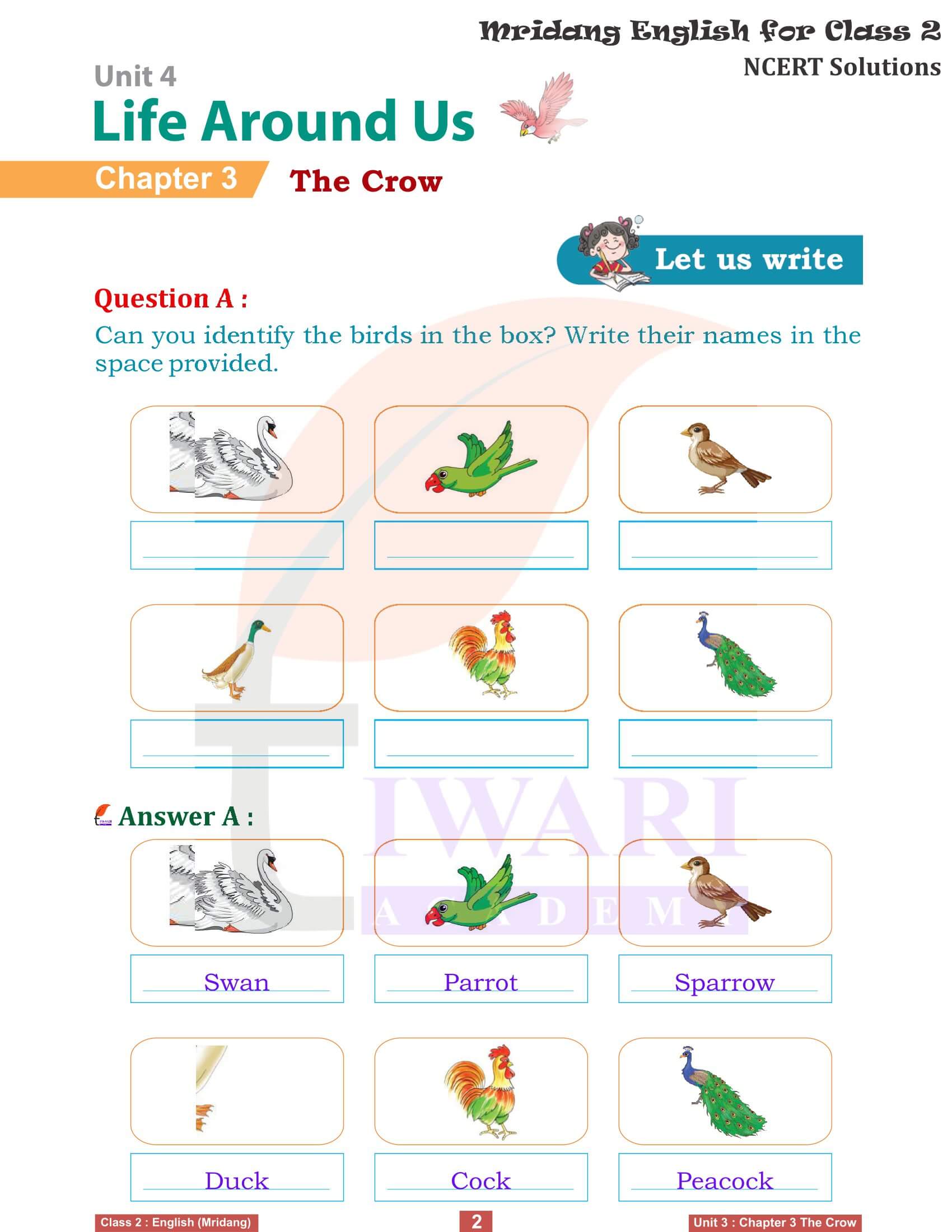 NCERT Solutions for Class 2 English Mridang Unit 4 Life Around Us Chapter 3 The Crow Answers