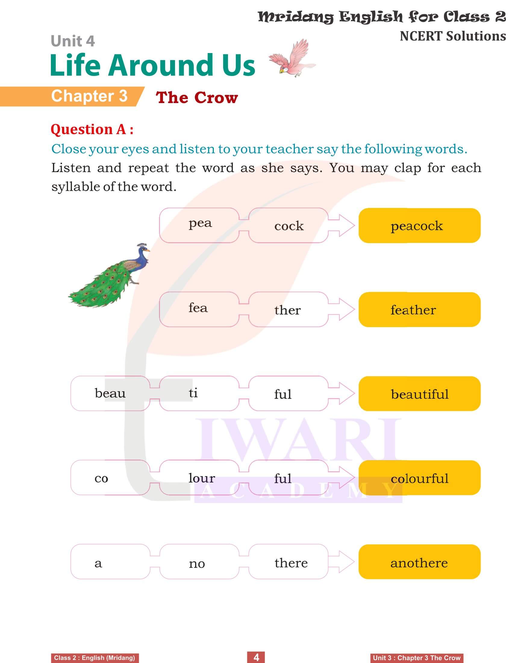 Class 2 English Mridang Unit 4 Life Around Us Chapter 3 The Crow Match the following