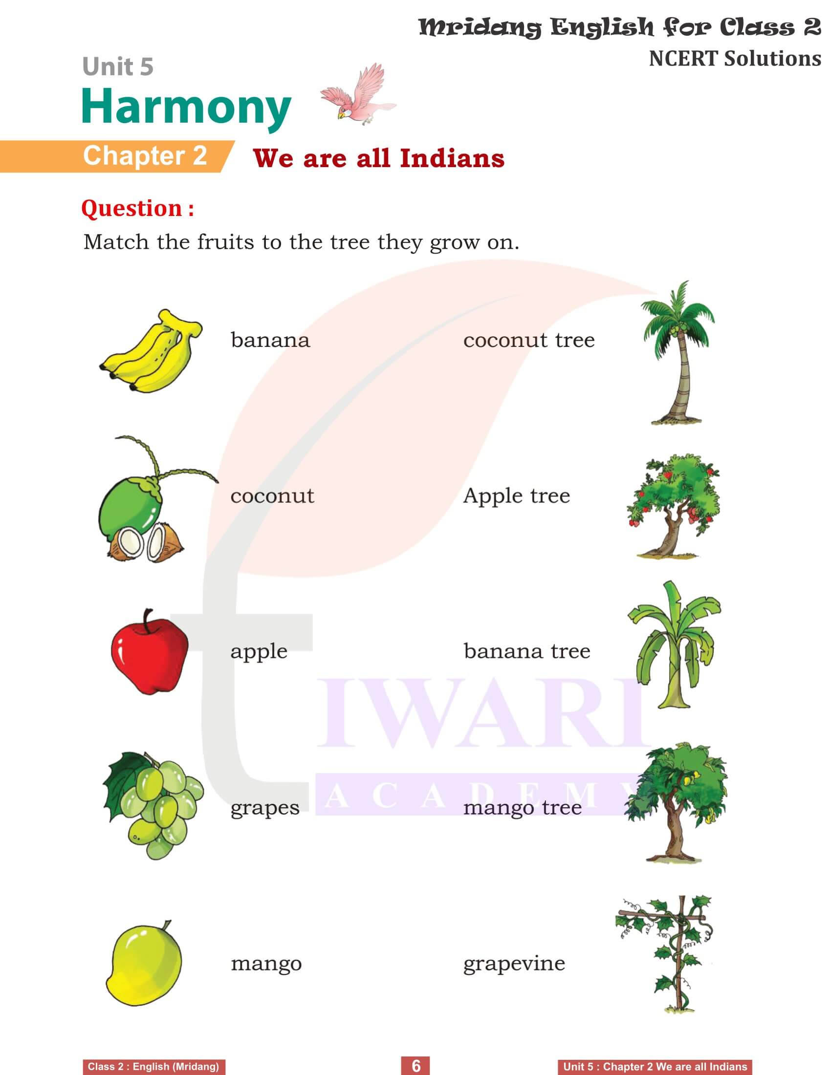 Class 2 English Mridang Unit 5 Harmony Chapter 2 Exercises