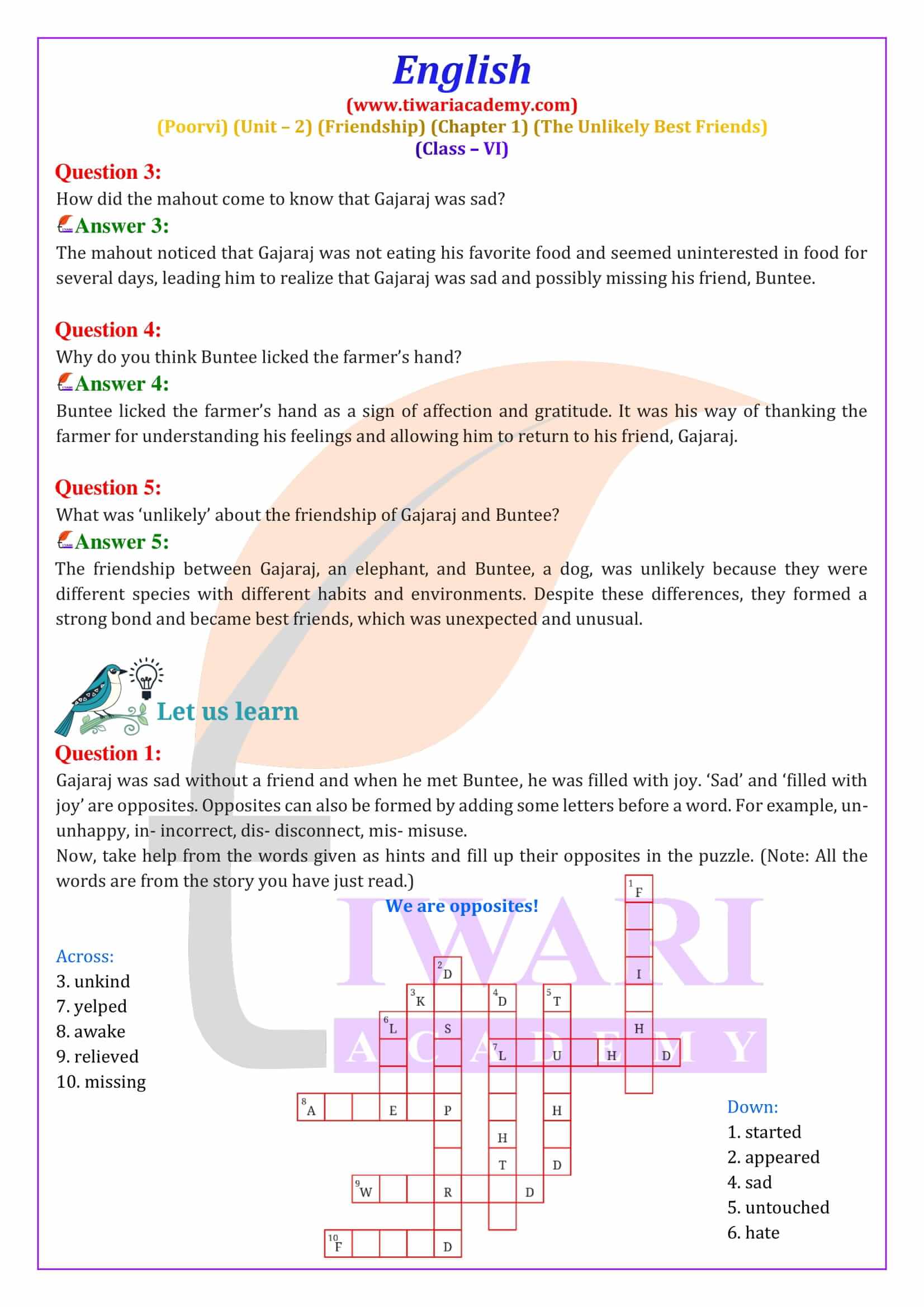 Class 6 English Poorvi Unit 2 Friendship Chapter 1 The Unlikely Best Friends Question Answers