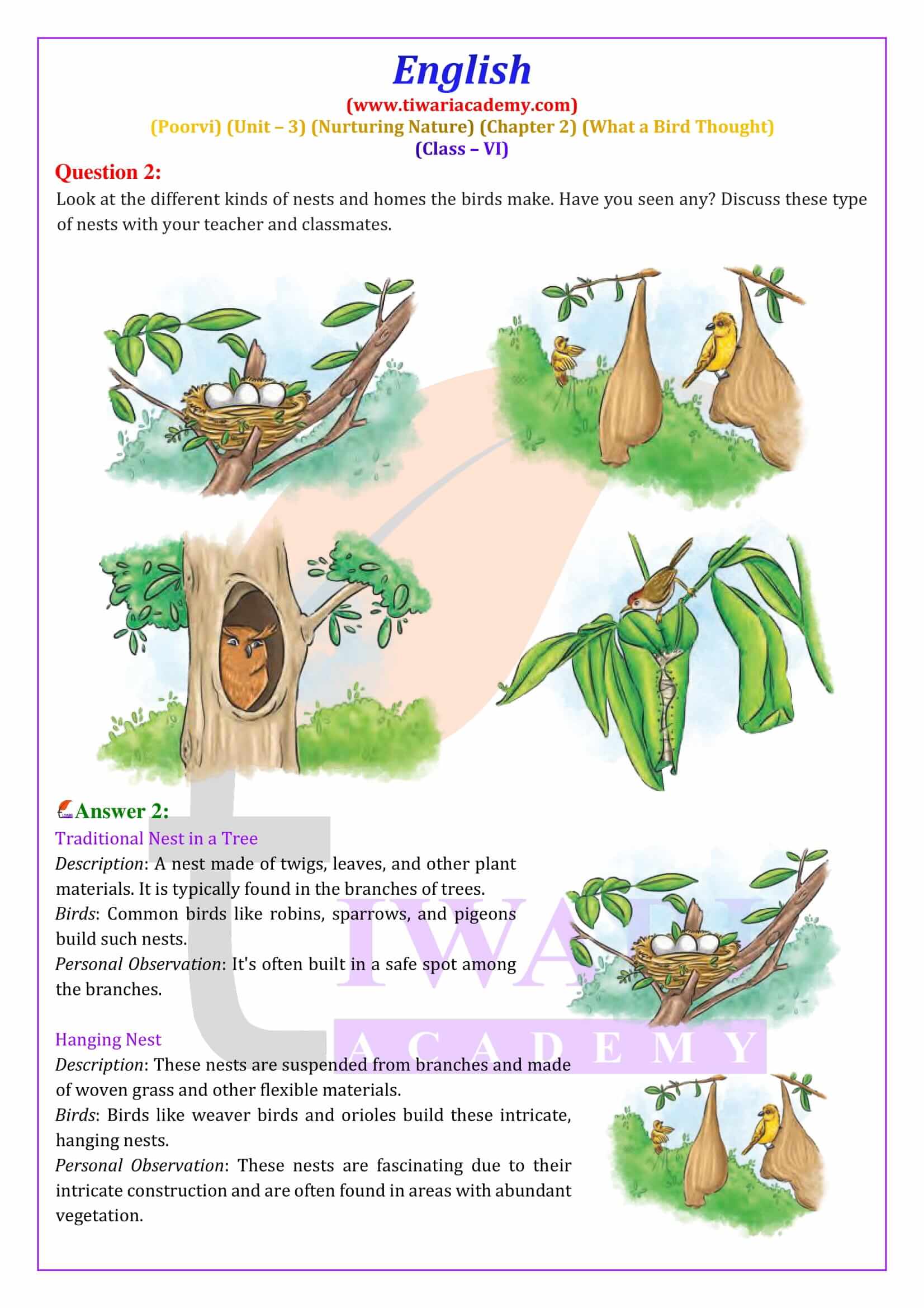 Class 6 English Poorvi Unit 3 Chapter 2 Exercises answers