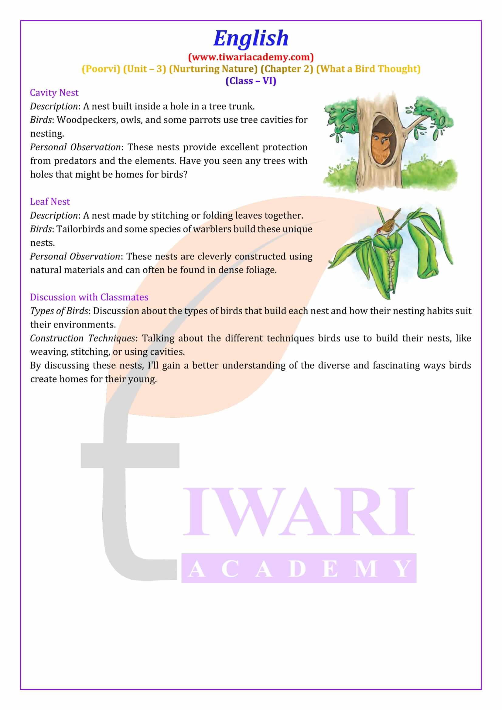 Class 6 English Poorvi Unit 3 Chapter 2 Answers guide