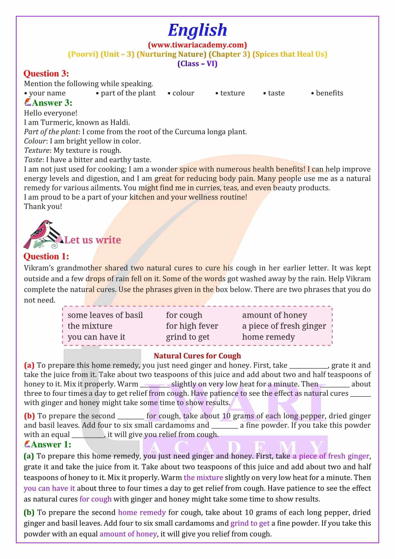 Class 6 English Poorvi Unit 3 Chapter 3
