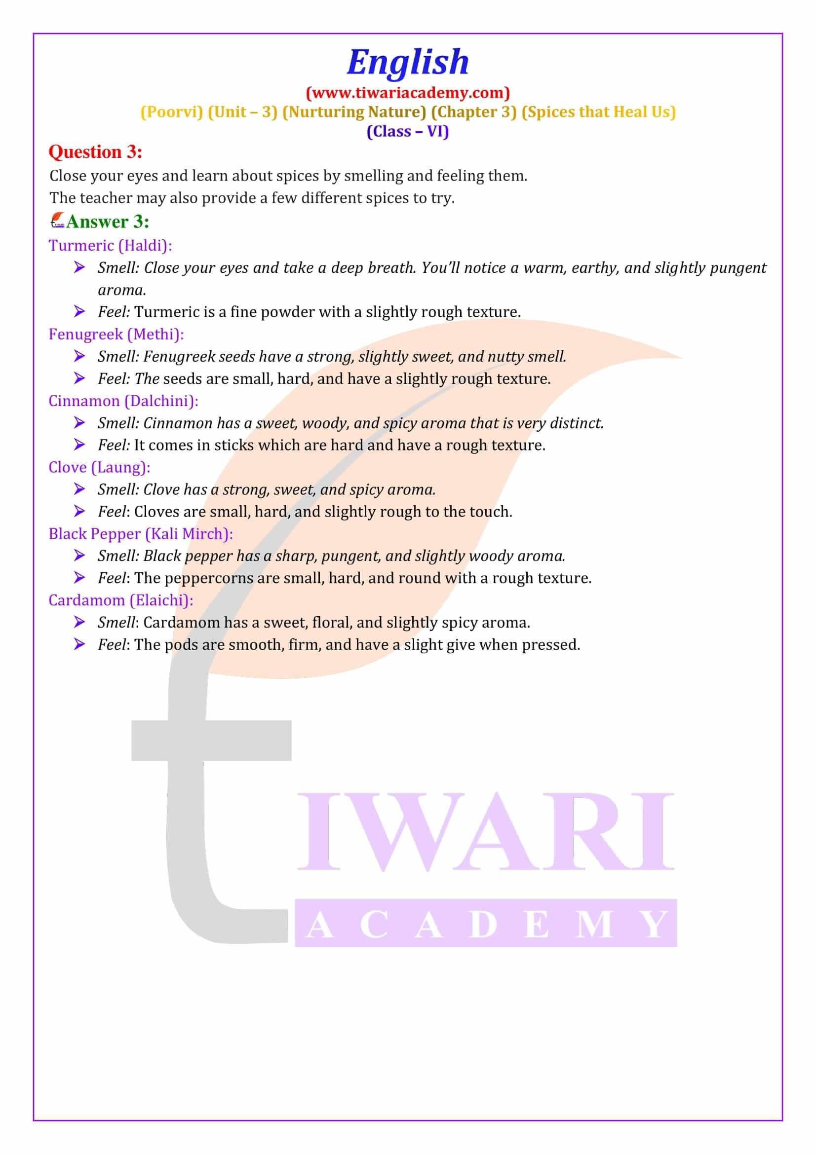 Class 6 English Poorvi Unit 3 Chapter 3 solutions