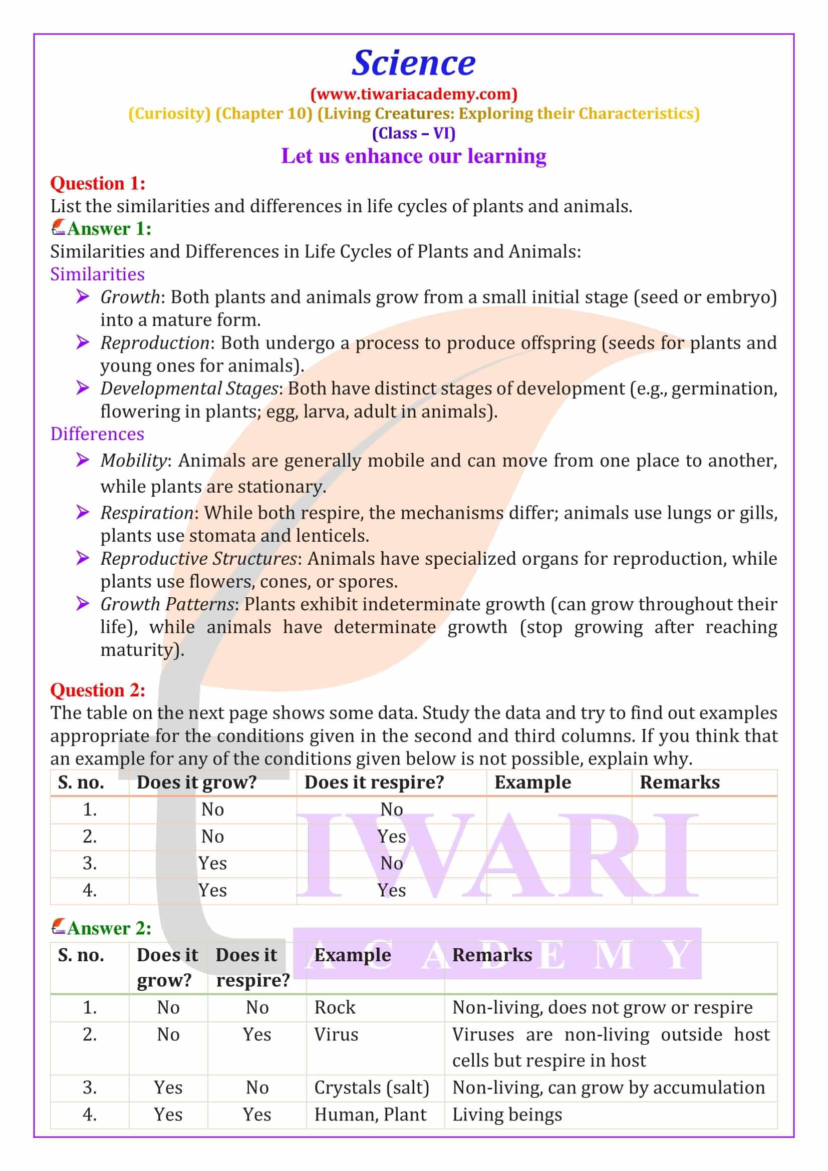 Class 6 Science Curiosity Chapter 10