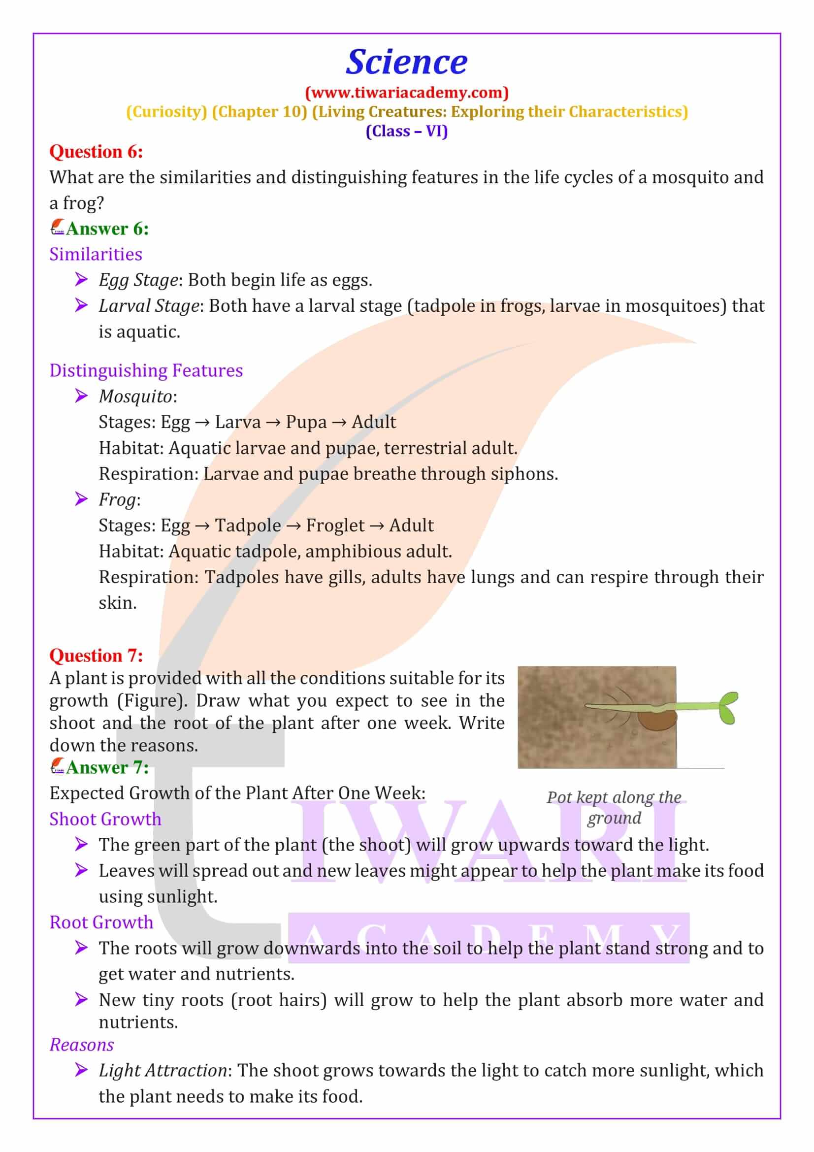 Class 6 Science Curiosity Chapter 10 Question Answers