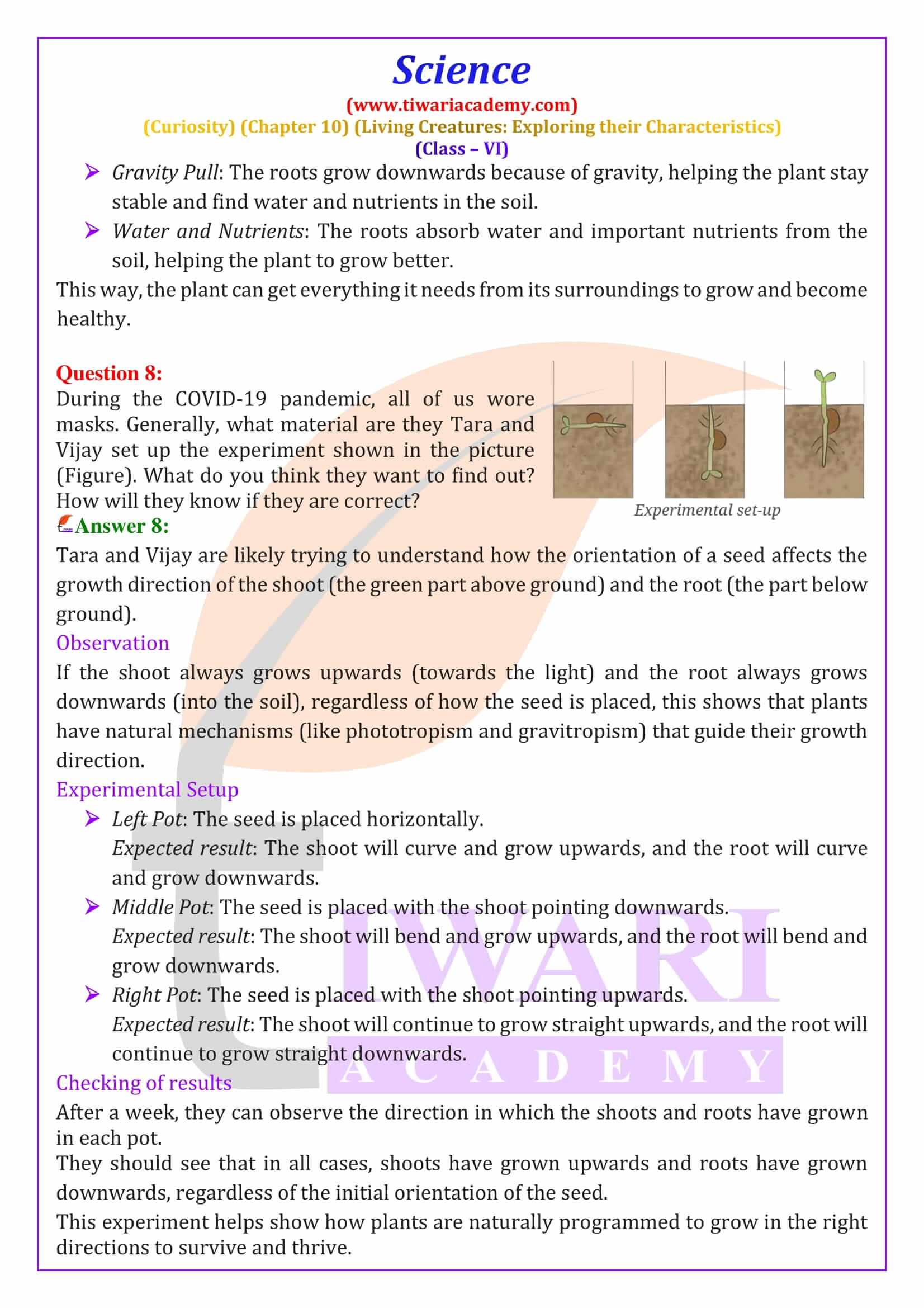 Class 6 Science Curiosity Chapter 10 Exercises