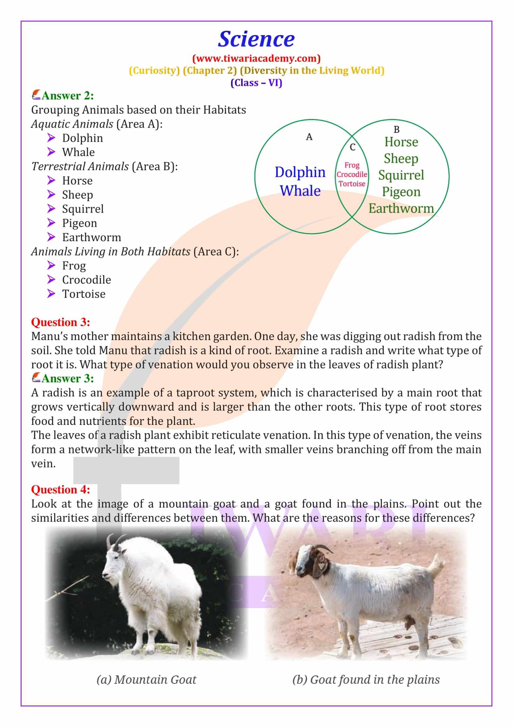 Class 6 Science Curiosity Chapter 2