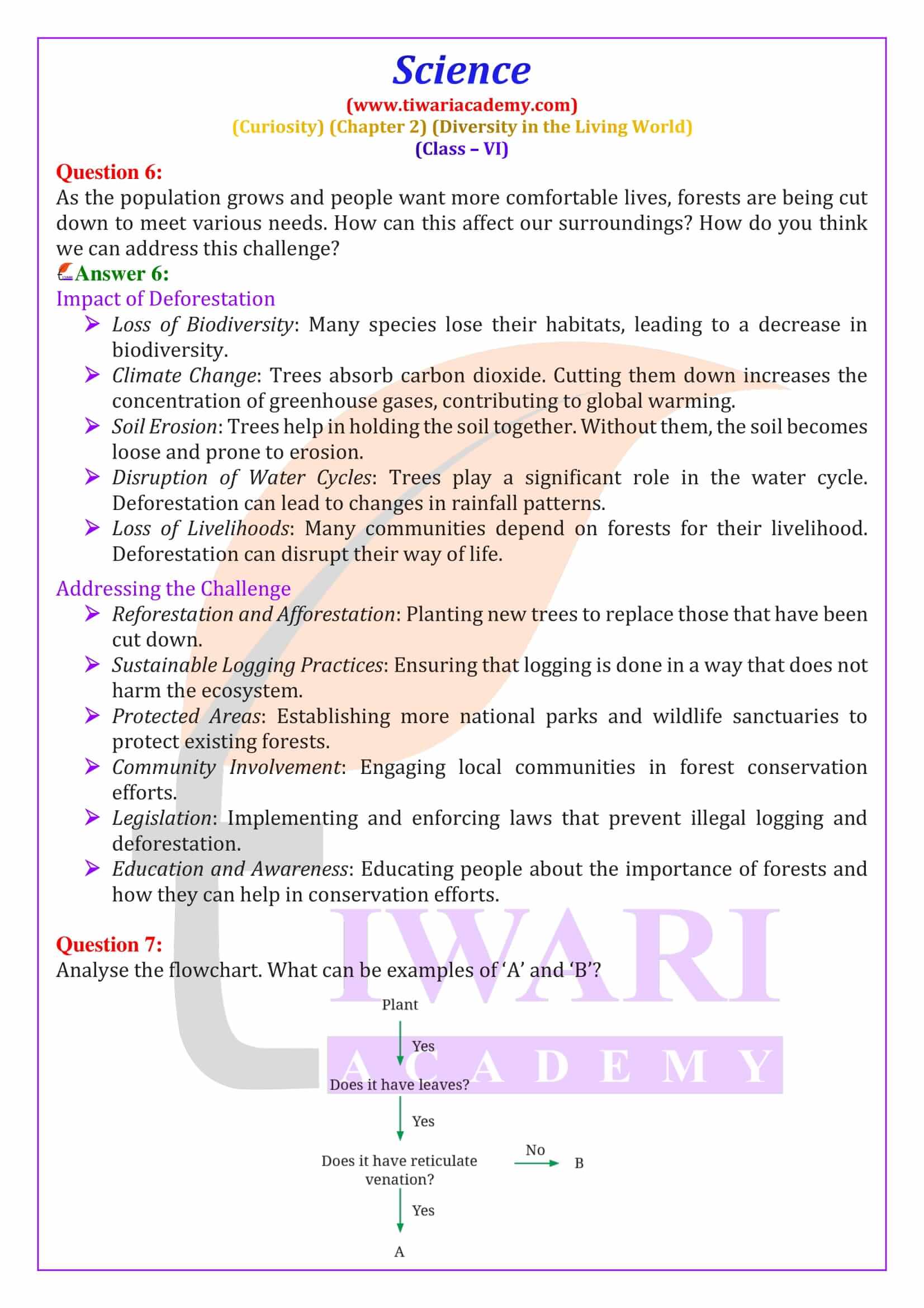 Class 6 Science Curiosity Chapter 2 Solutions