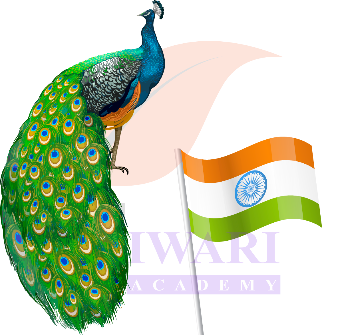 Class 4 English Santoor: National Flag and National Bird of India