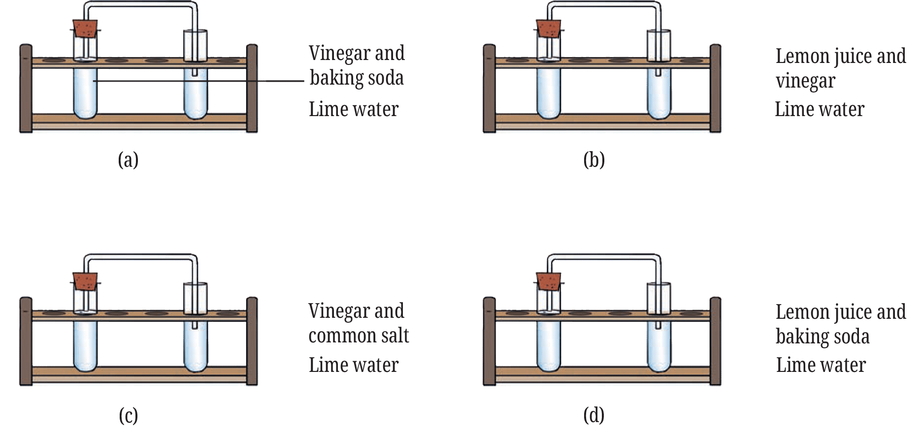 Class 7 Science Curiosity Chapter 5 Question 10