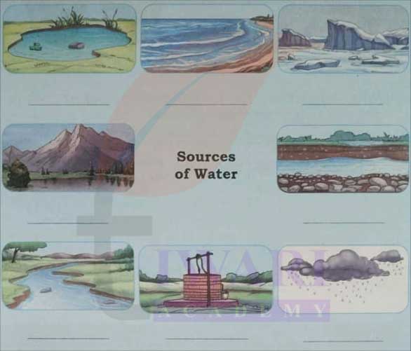 Class 5 EVS Our Wondrous World Chapter 1 Page 4 Question