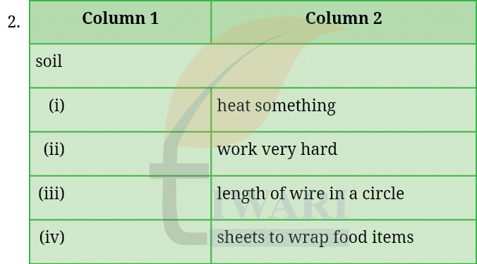 Class 8 English Poorvi Chapter 2 Image 6