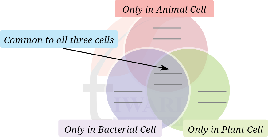 Class 8 Science Chapter 2 Image 2