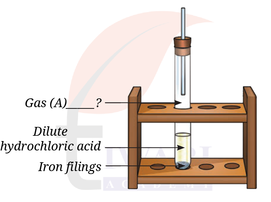 Class 8 Science Chapter 8 Image 2