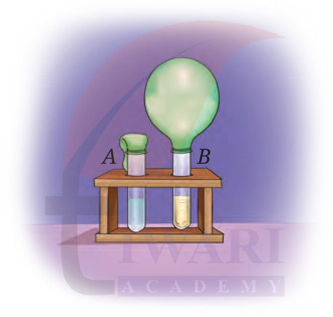 Class 8 Science Chapter 2 Image 3
