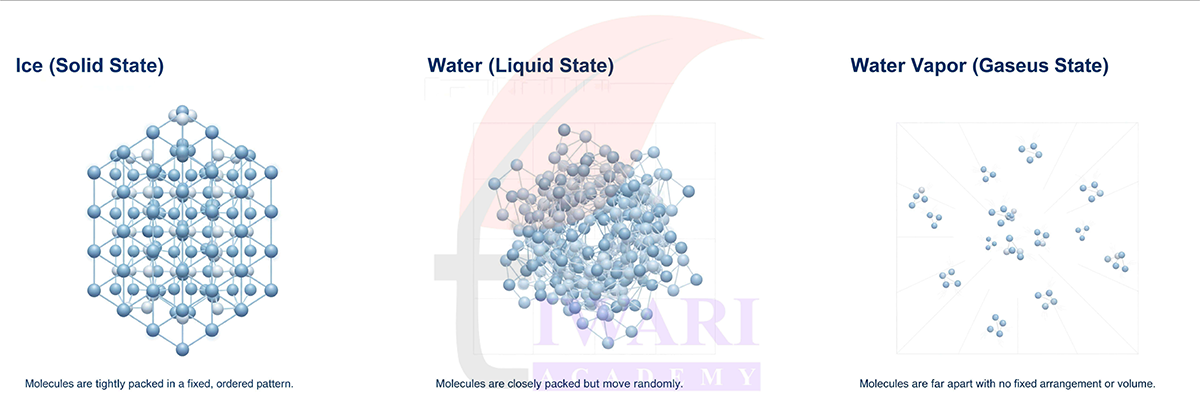 Class 8 Science Chapter 7 Image 2