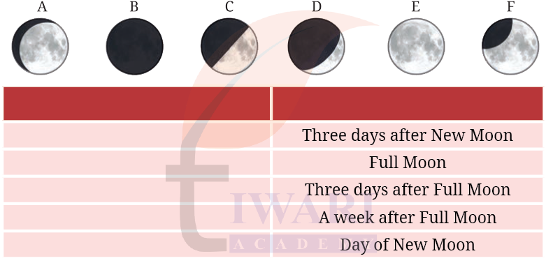 Class 8 Science Curiosity Chapter 11 Image 2