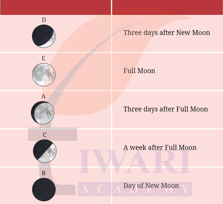 Class 8 Science Curiosity Chapter 11 Image 5