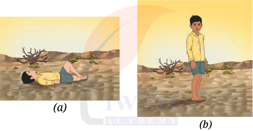 Class 8 Science Chapter 6 Image 3
