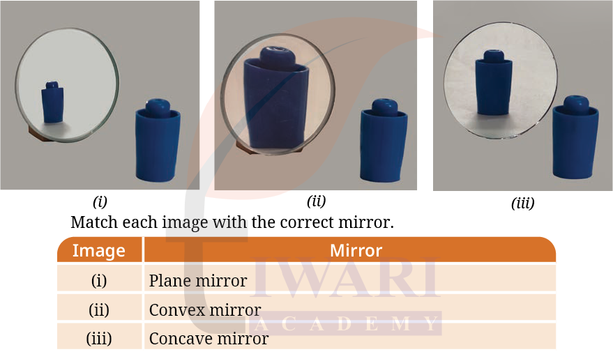 Class 8 Science Curiosity Chapter 10 Image 4