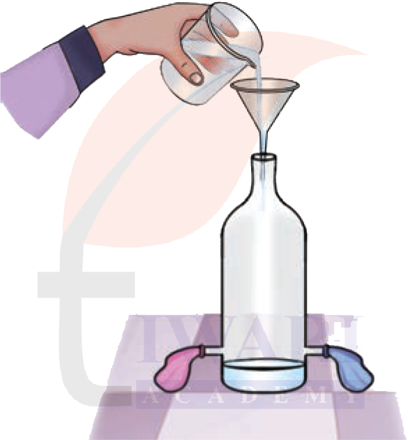 Class 8 Science Chapter 6 Image 4