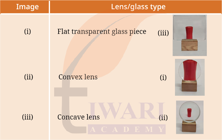 Class 8 Science Curiosity Chapter 10 Image 6