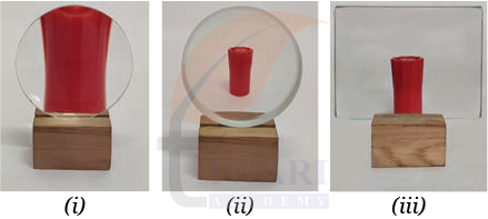 Class 8 Science Curiosity Chapter 10 Image 7