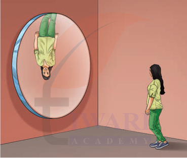 Class 8 Science Curiosity Chapter 10 Image 10