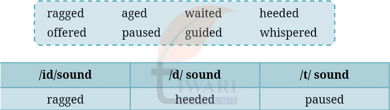 Class 8 English Poorvi Unit 2 Chapter 2 Image 5